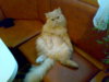 06032008173.jpg