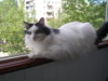 P1010325.JPG