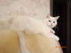 DSC02129.JPG