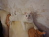 DSC02135.JPG