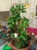 WP_003253.jpg