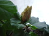DSC03689.JPG