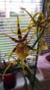 20150107_123252.jpg