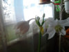 IMG_20150108_163700_0.jpg