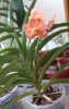 DSCF3855.JPG