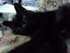 DSC09193.JPG