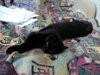 DSC09197.JPG