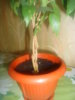 DSC04284.JPG