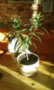 20150113_140249.jpg