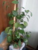 20150114_122726.jpg