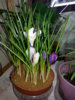 20150118_114328.jpg