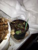 20150118_114832.jpg