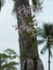 DSCN2925.JPG