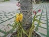 DSCN2924.JPG
