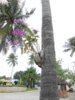 DSCN2927.JPG