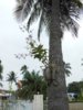 DSCN2928.JPG