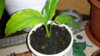 20150121_151927.jpg