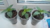 20140629_211455.jpg