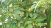 20140818_152427.jpg
