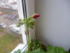 P1020212.JPG