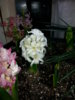 20150129_170233.jpg