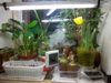 20150129_170342.jpg
