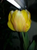 20150130_094919.jpg