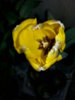 20150130_094759.jpg