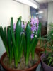 20150130_095059.jpg
