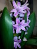 20150130_095026.jpg