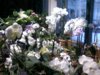 20150131_161104.jpg