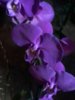 20150131_160948.jpg