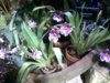 20150131_161225.jpg