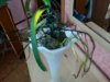 20150204_123041.jpg