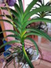 20150204_123147.jpg