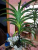 20150204_123211.jpg