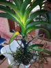 20150204_123513.jpg