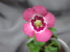 20140915_184459.jpg