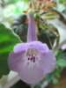 20141127_200549.jpg