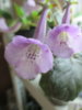 20141127_200534.jpg