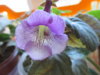 20140722_103628.jpg