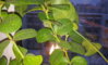 20150208_170829.jpg