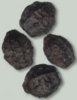 mirabilis_jalapa_seeds_150402bsas.jpg