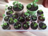 20150212_125021_resize.jpg