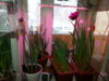 20150218_120947.jpg