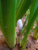 20150218_120552.jpg