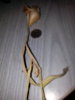 20150218_135101.jpg