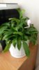 20150218_142234.jpg
