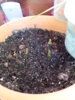20150218_120652.jpg