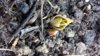 20150218_120205.jpg